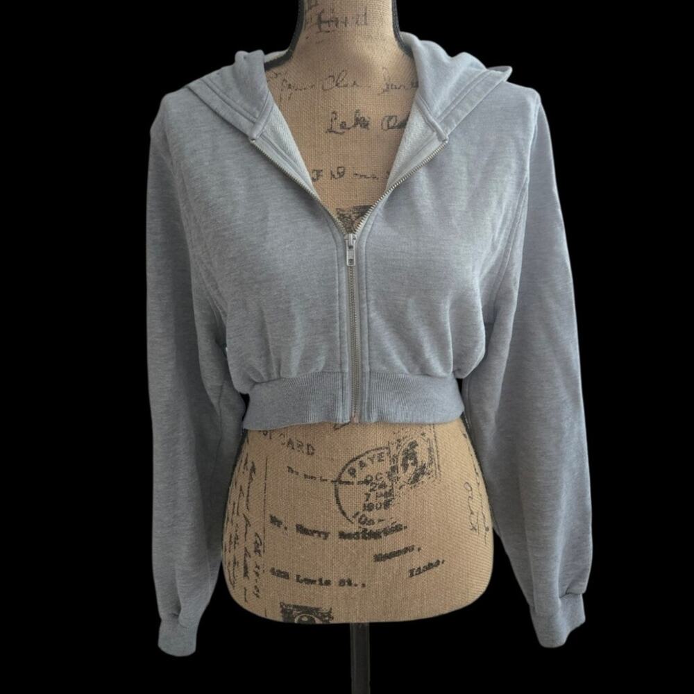 Gray alo crop hoodie, fits like small/medium